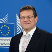 Maroš Šefčovič Profile Picture